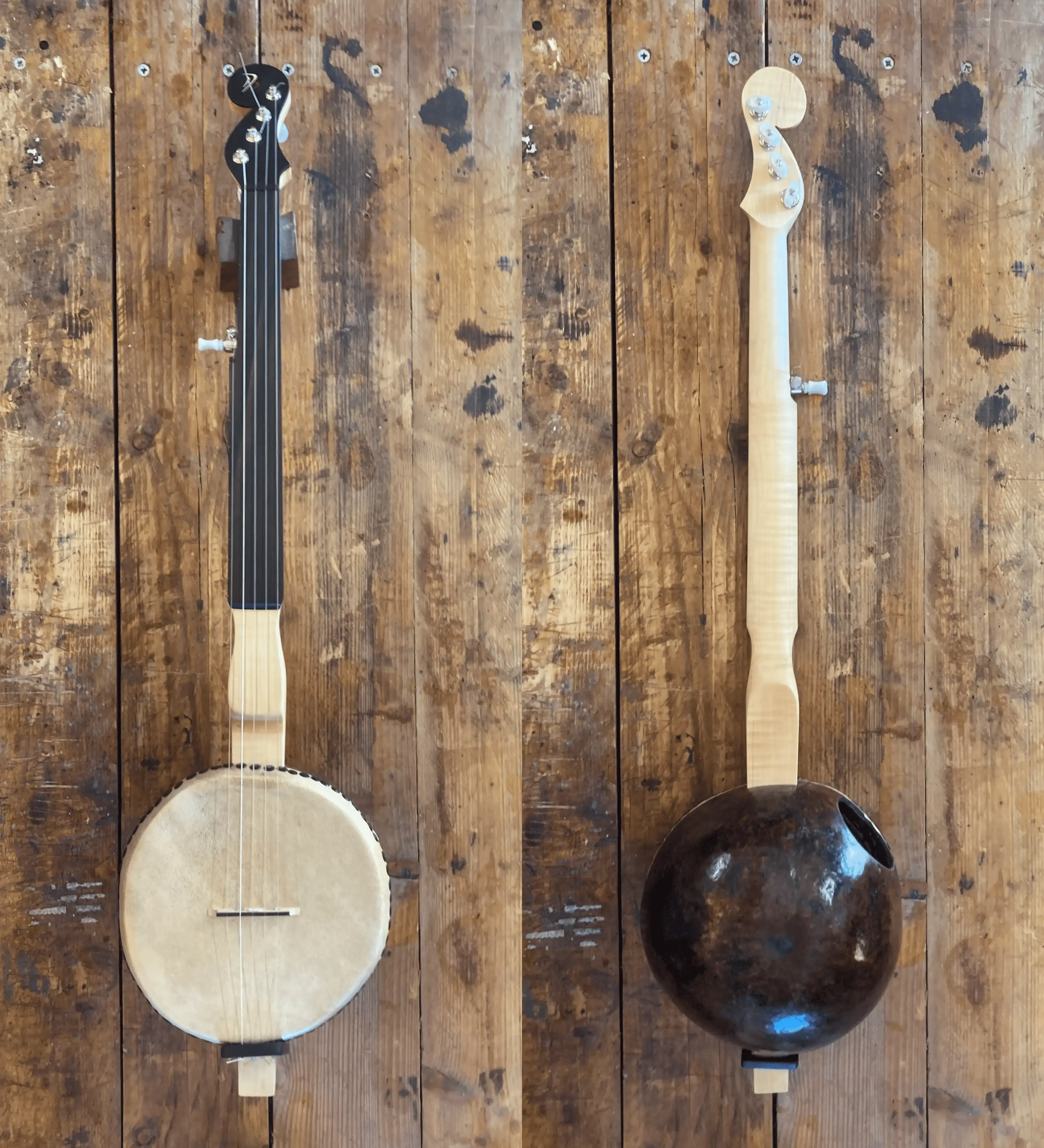 Gourd Banjo - vue 2